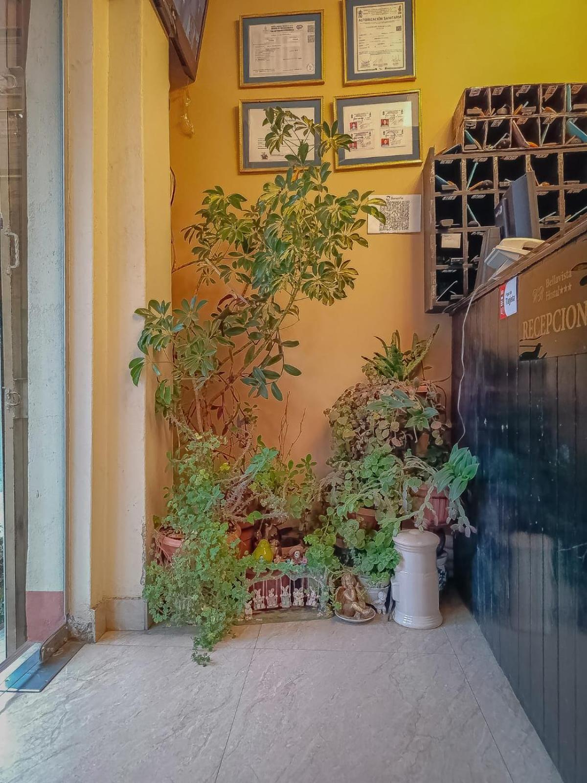 Hostal Terrabella Srl La Paz Ngoại thất bức ảnh